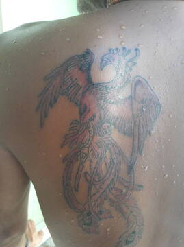 Public Photo of dungabrasil