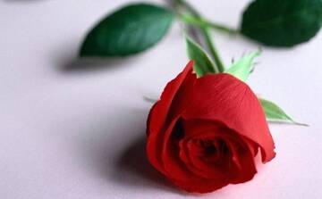 Foto publica di SIRUS