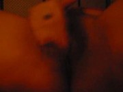 la mia gattina pelosa